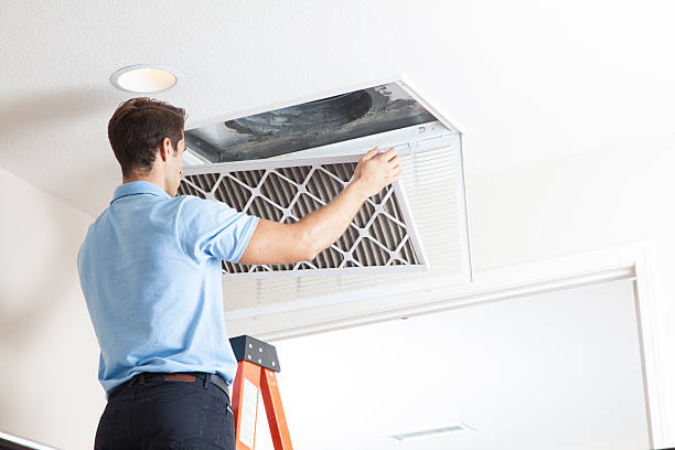 Best Air Quality Test  in Orland, CA